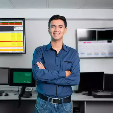 Ingeniero Electrónico